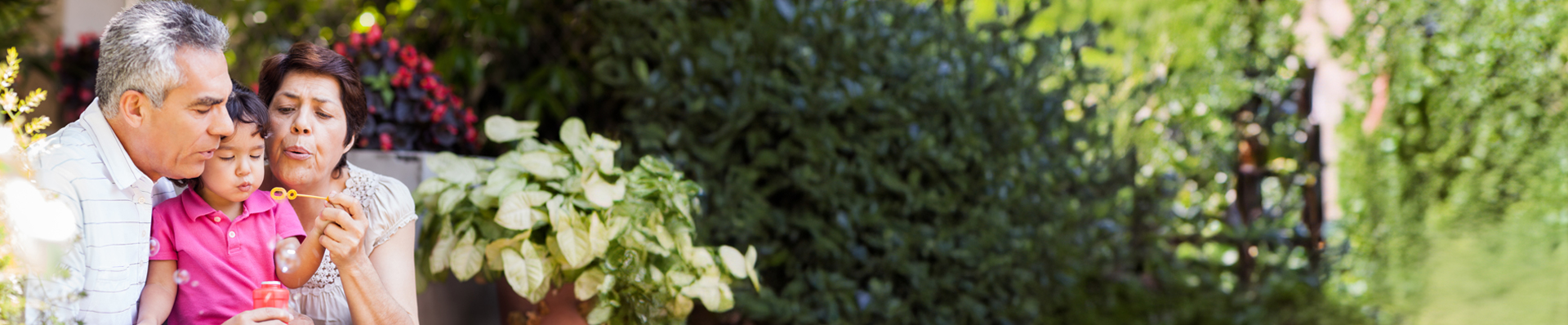 Why Mmbb Guidance For Wise Stewardship